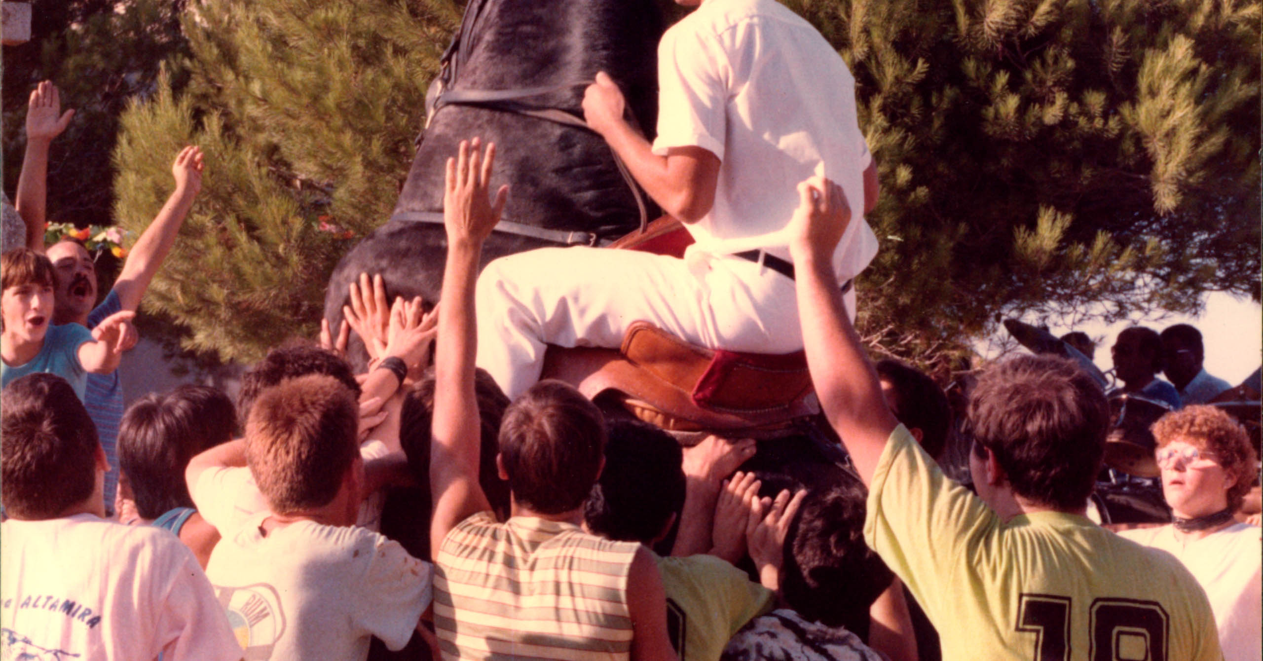 Caixer y caballo realizando un bot