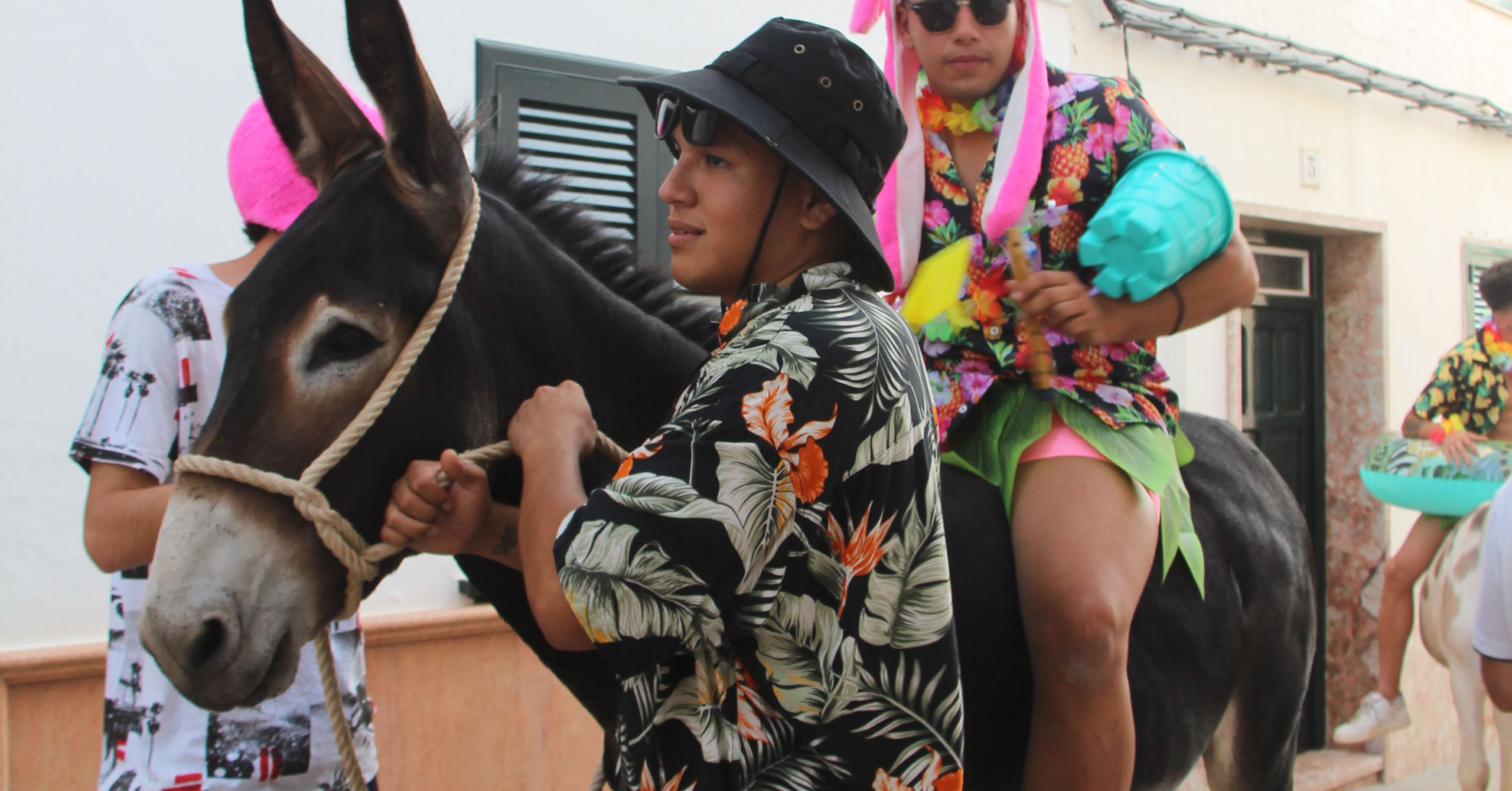 Caragol del Jaleo d'ases