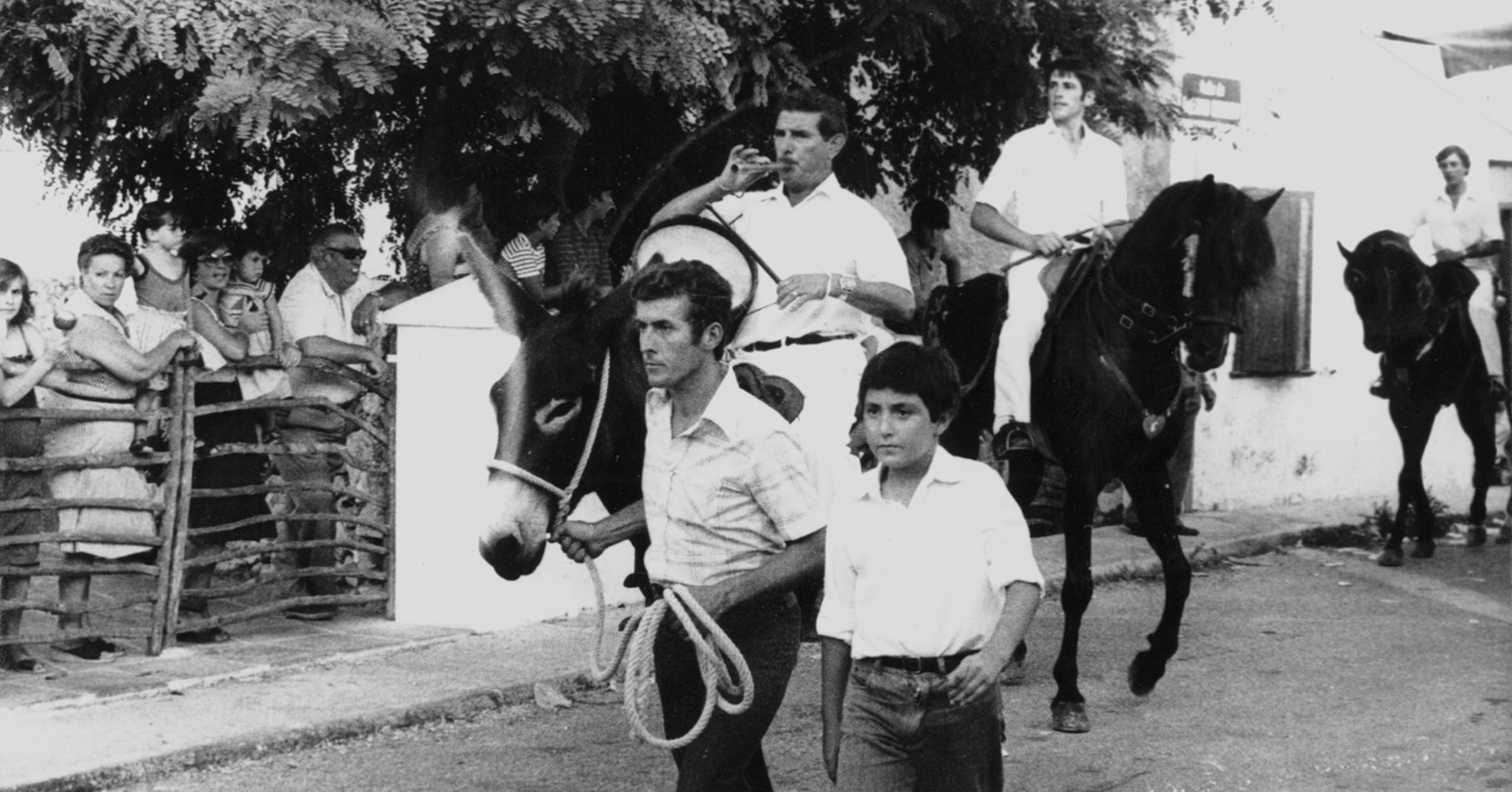 El Fabioler recorriendo Llucmaçanes