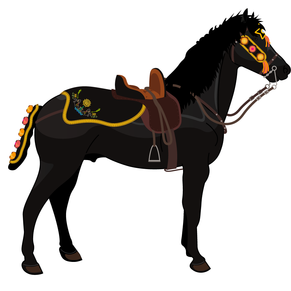 Ornamentos del Cuerpo del Caballo Menorquín
