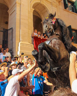 Caballo realizando un bot