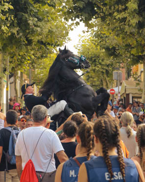 Caixer realizando un bot